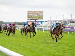 Doncaster Racecourse Flat Racing Fri 24th April Grandstand - £21.50 for £10